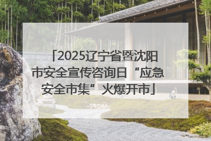 2025辽宁省暨沈阳市安全宣传咨询日“应急安全市集”火爆开市