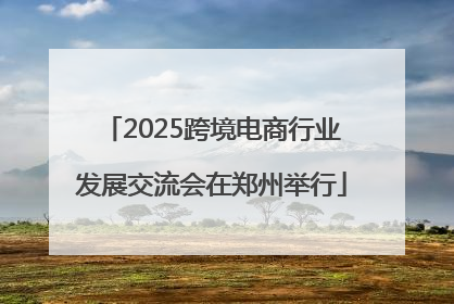 2025跨境电商行业发展交流会在郑州举行