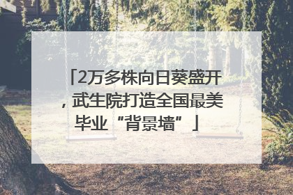 2万多株向日葵盛开，武生院打造全国最美毕业“背景墙”