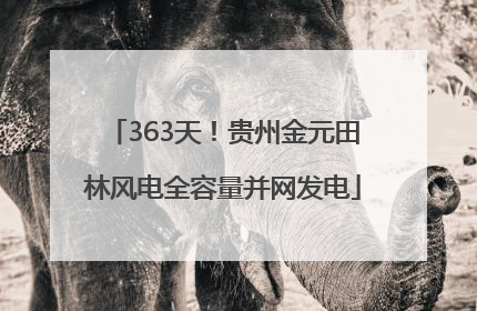 363天！贵州金元田林风电全容量并网发电