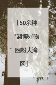 50余种“淄博好物”圈粉大湾区