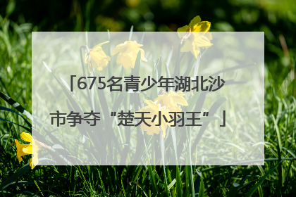 675名青少年湖北沙市争夺“楚天小羽王”